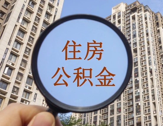 香港退休后查不到公积金明细了吗（退休后公积金查询不到原因）